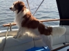 04-Tora Tijs