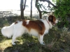 09-Tora Tibbs