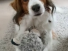 25-Miezum Menzo (Monty)