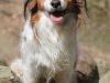 34-Boppe Buddy