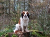 21-Tora Tijs