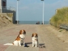 18-Siep Seppe en Roos Roxy