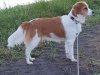 26-Zuyle Zoey