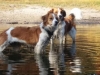 33-Belle Benthe en Waele Wybe
