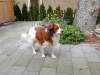 02-Fenne Floris
