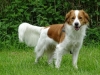 04-Belle Benji
