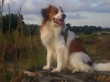 05-Boppe Buddy