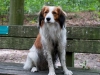 07-Tora Tijs