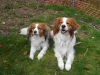 09-Famke Flori en Roos Rebbel
