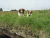12-Jikke Jutter en Jans Jette