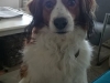 19-Miezum Menzo (Monty)