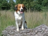 30-Waele Wybe