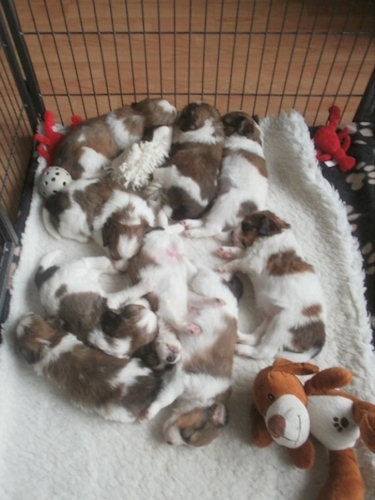 4week