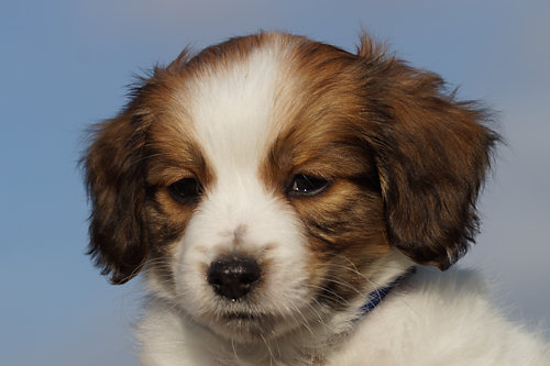 week7-buddy