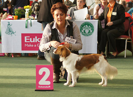 winner2010-3