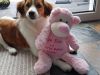03-Elze-Elin