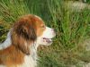 19-Elze-Ebbe-Jax