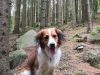 21-Waele-Wybe