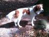 33-Mare-Maya-Lummel