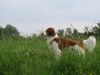16-Elze-Ebbe-Jax