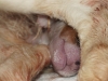 34