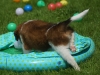 09