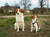 13-Sinn Sofie (Sinne) en Effie Enske (Zora)