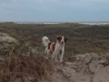29-Tora Tijs