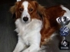 31-Belle Bailey (Frodo)