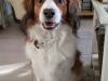 33-Miezum Menzo (Monty)