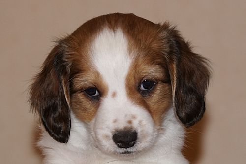week7-bailey